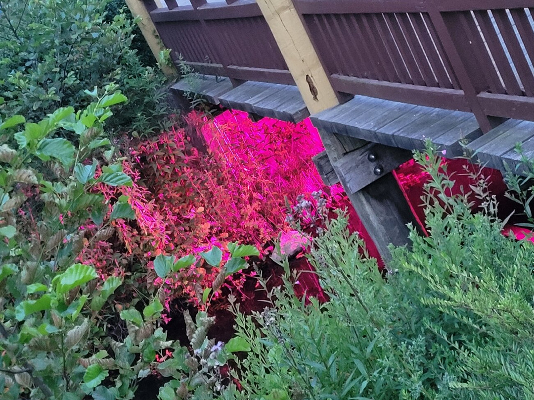 BEECH Resort Fleesensee主图