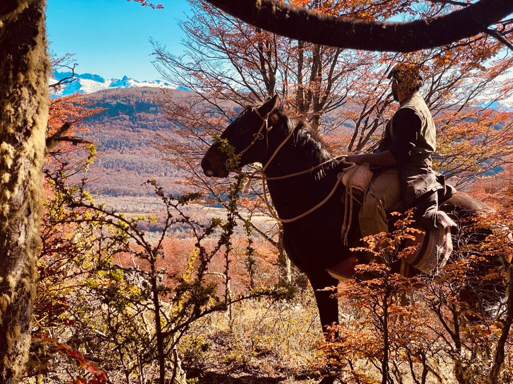 Patagonia Arisca-Puerto Guadal必去景点