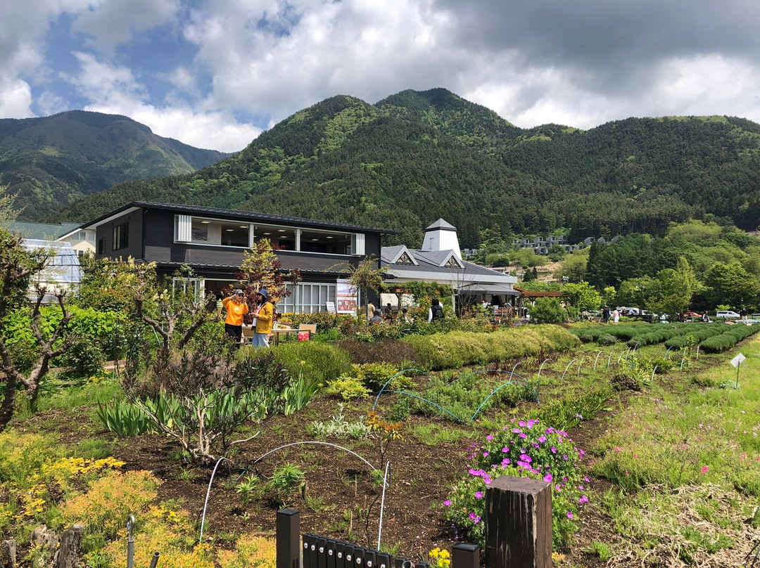Fuji Oishi Hana Terrace-富士河口湖町必去景点