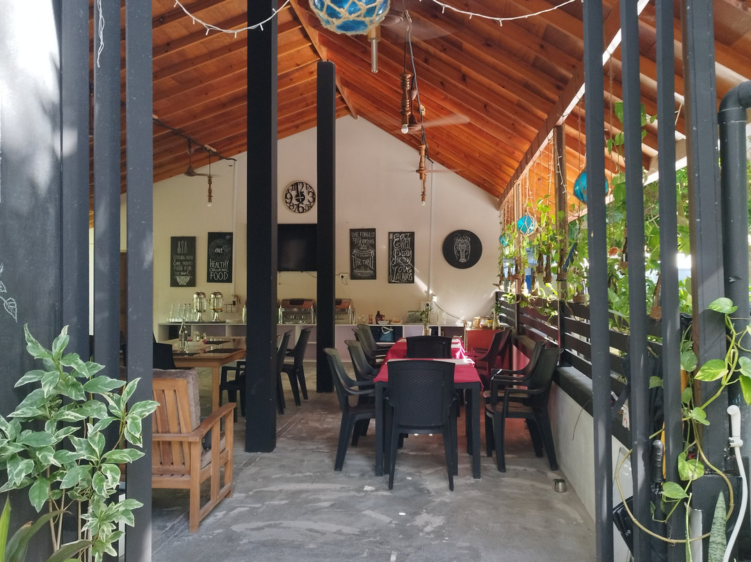 Kingsway Thoddoo主图