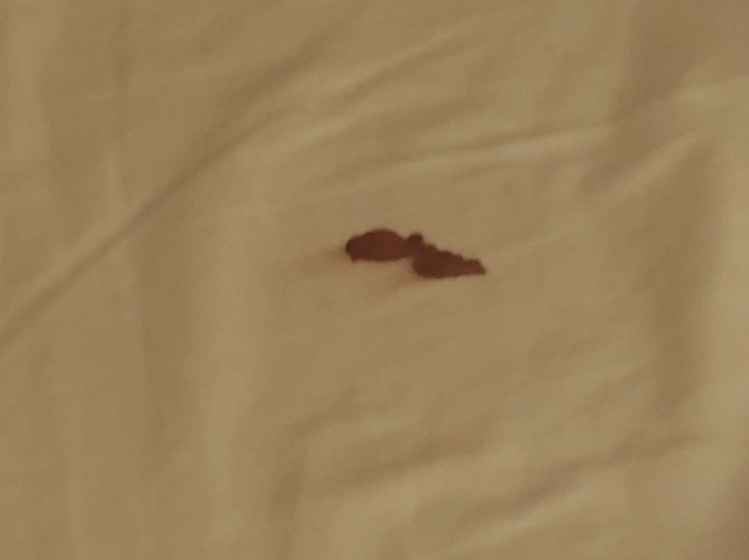 Fort Verde Suites主图