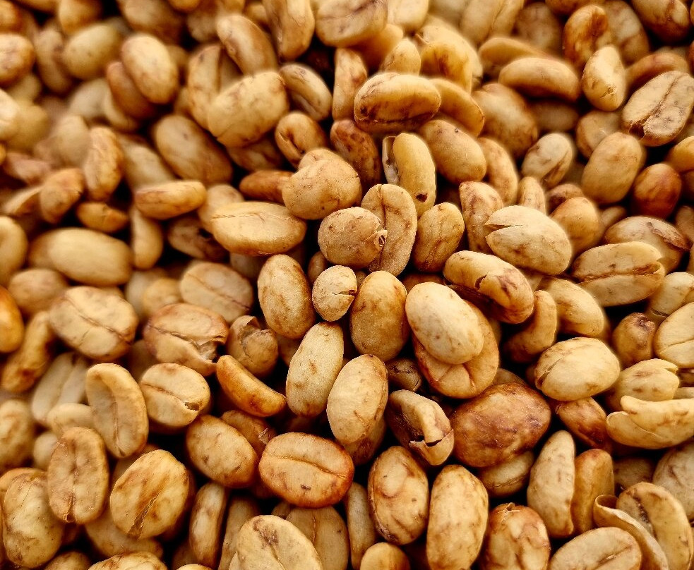 Kebun Kopi Tani景点图片