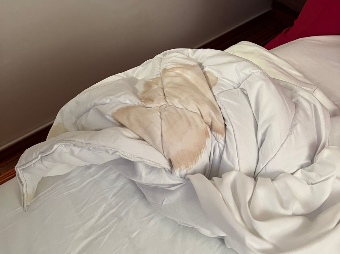 Ace Hotel Paris Marne La Vallee主图
