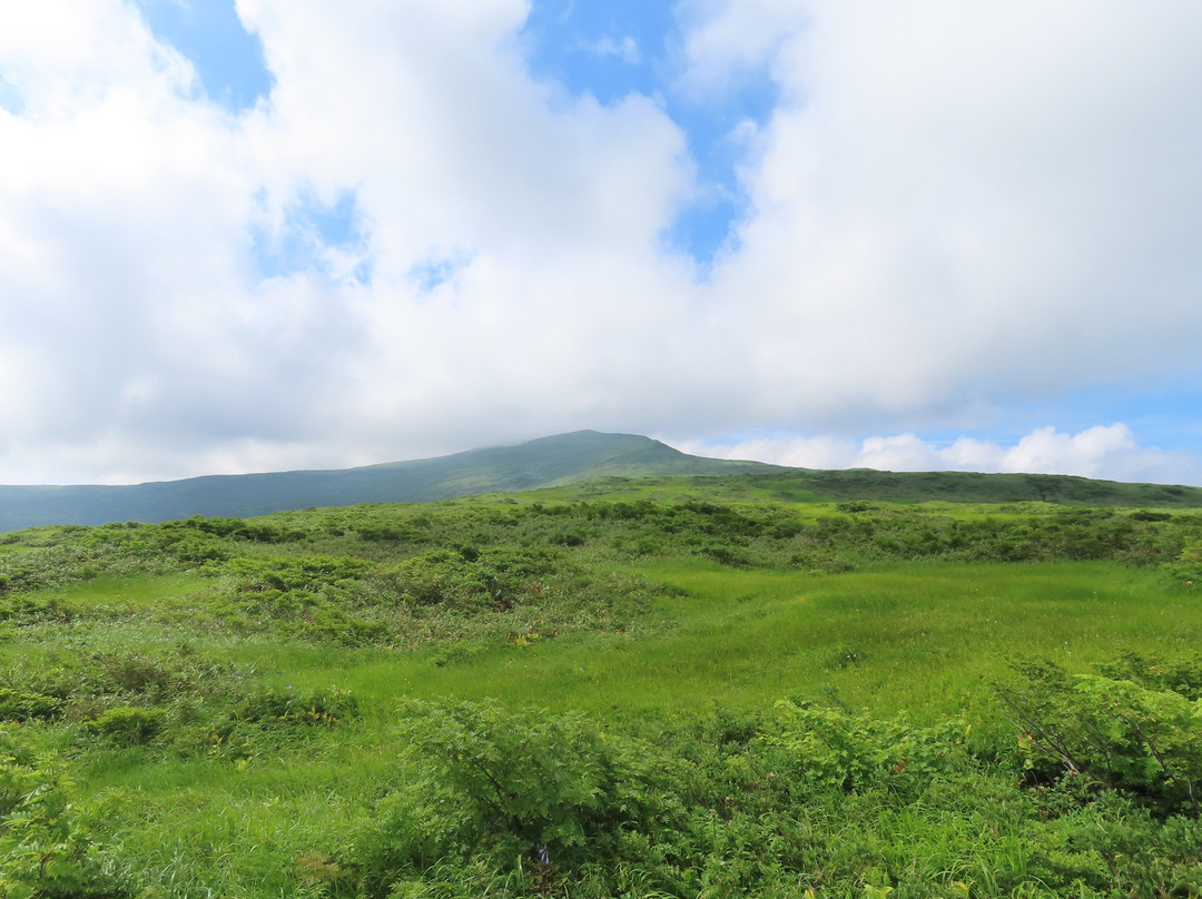 Midagahara Wetlands景点图片