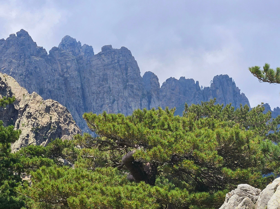 Aiguilles de Bavella (Bavella Needles)景点图片
