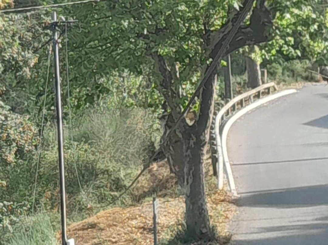 Le Vallon de Bargemon主图