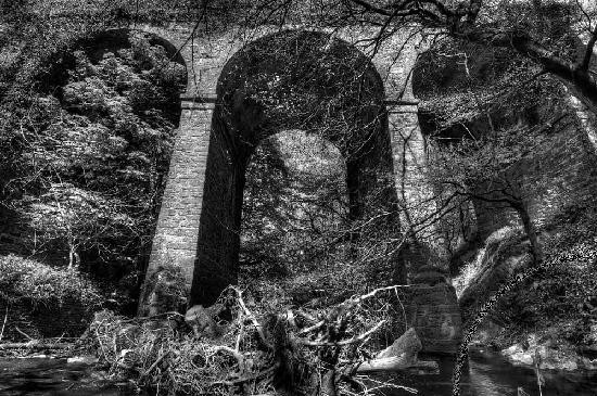 Courtown Woods-Gorey必去景点