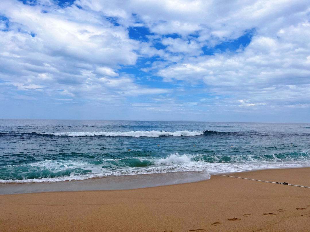 Gangmun Beach-江陵市必去景点