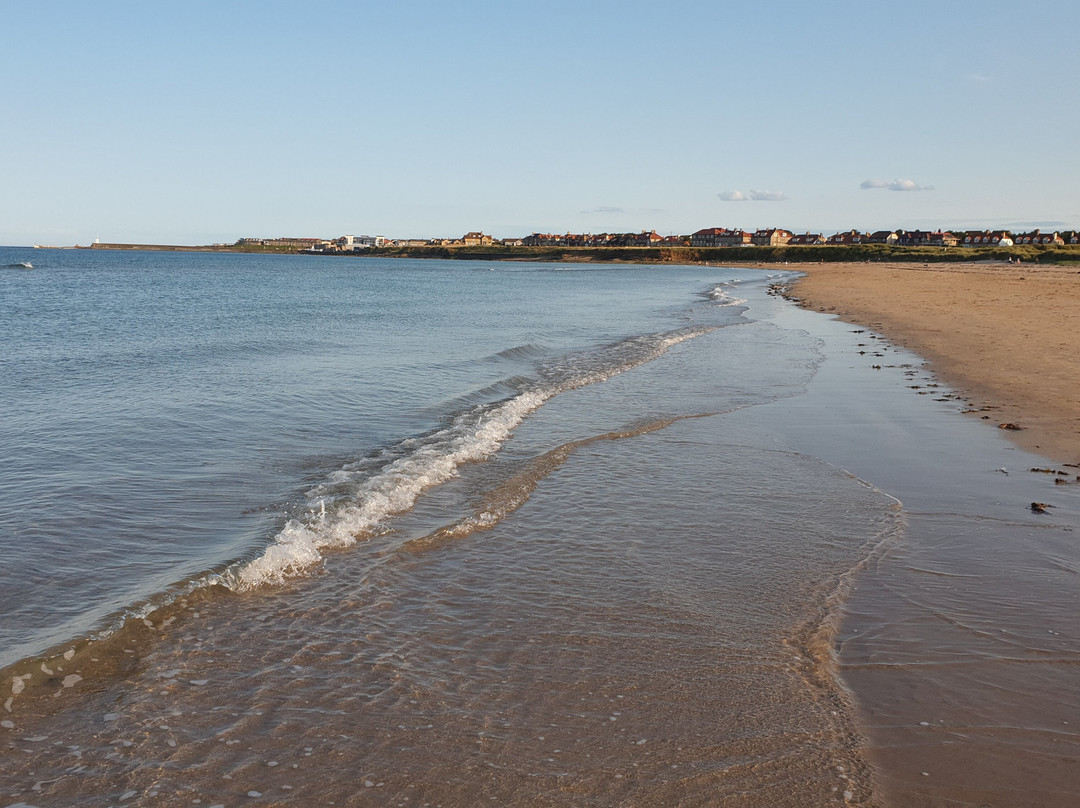 The Olde Ship Inn主图