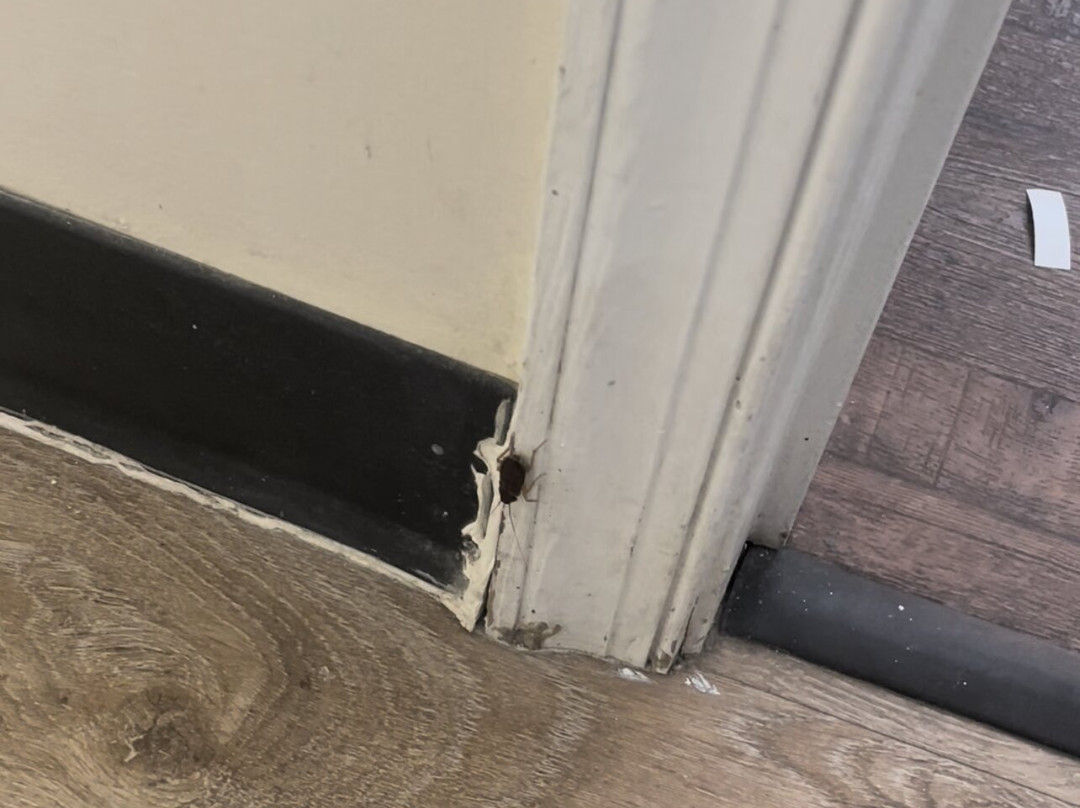 Suburban Extended Stay Of Wilmington主图