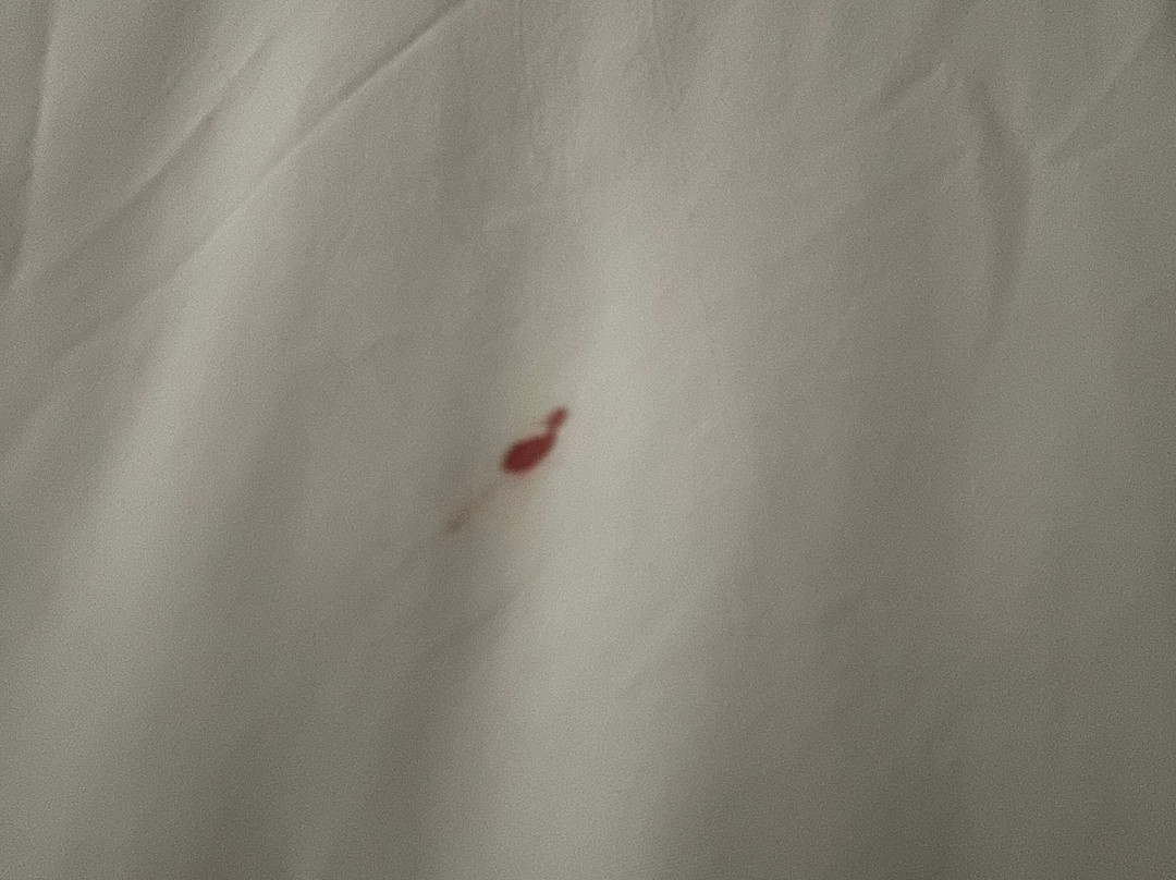 Quality Inn Clemmons I-40主图