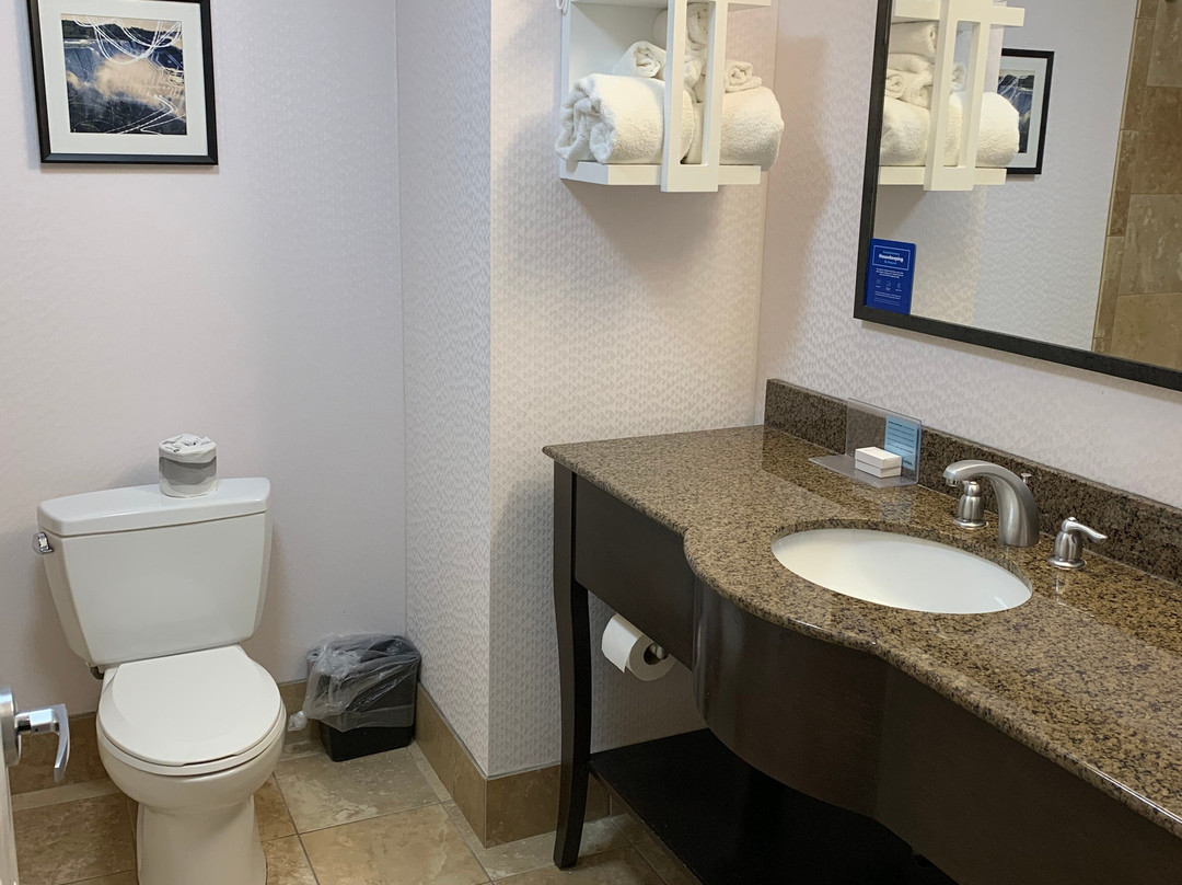 水牛城市中心汉普顿套房酒店主图