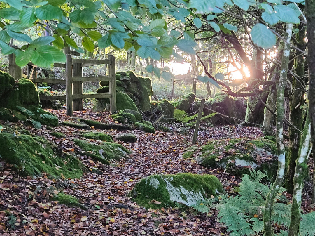 Lydgate House Hotel, Dartmoor主图