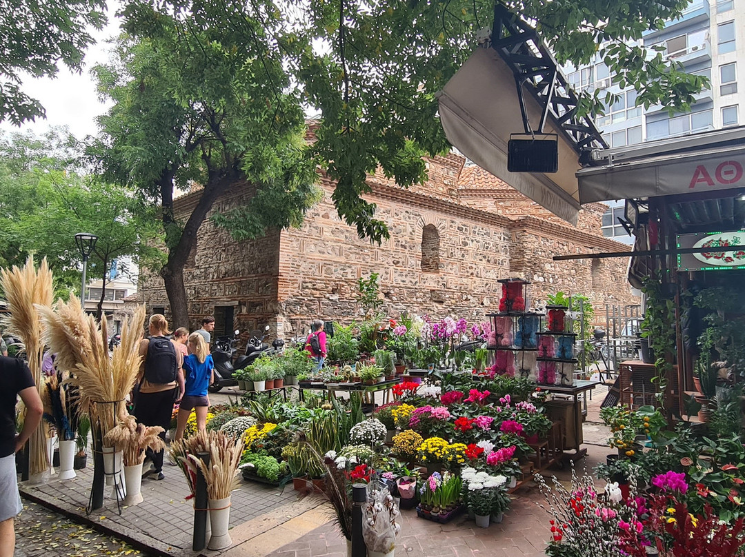 City Bikes Thessaloniki Rentals & tours-塞萨洛尼基必去景点