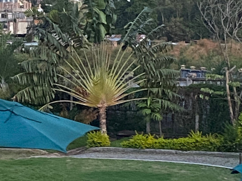 Ryan's Bay Hotel主图