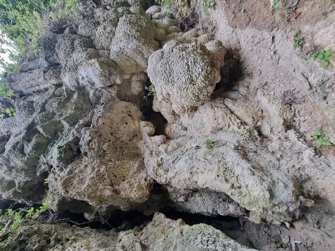 Sentiero Li Vurgacci景点图片