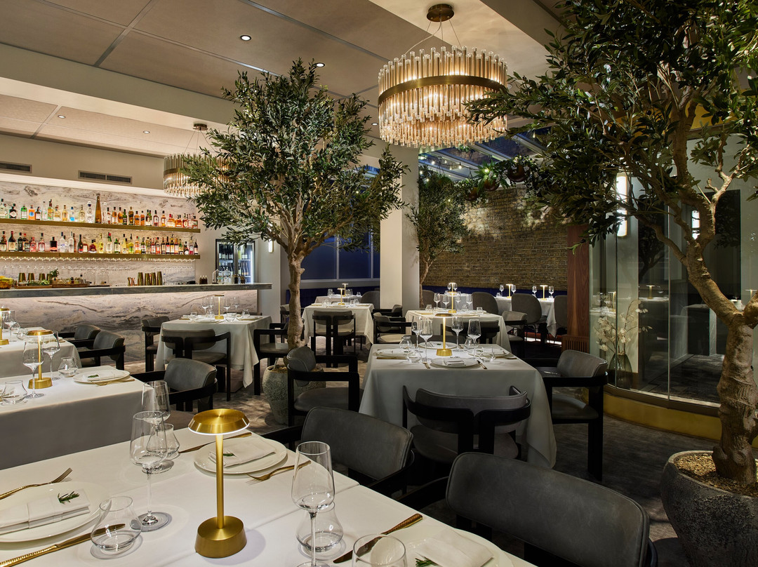 Sparrow Italia Mayfair