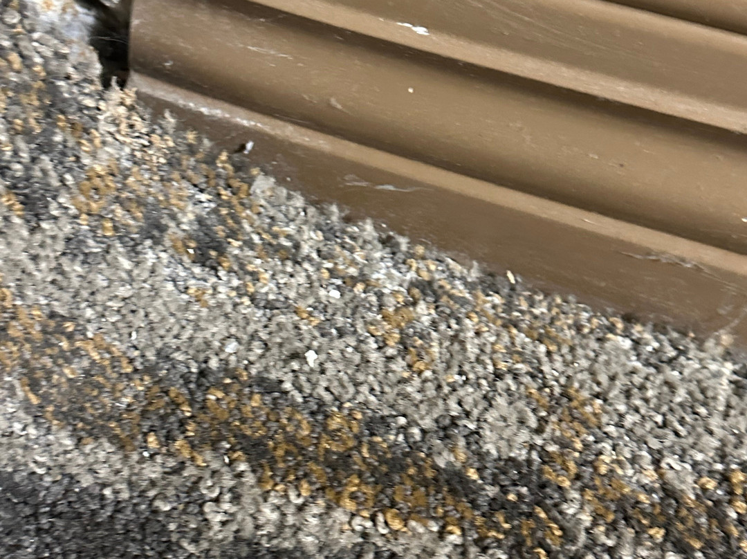 DoubleTree by Hilton Hotel Cincinnati Airport主图