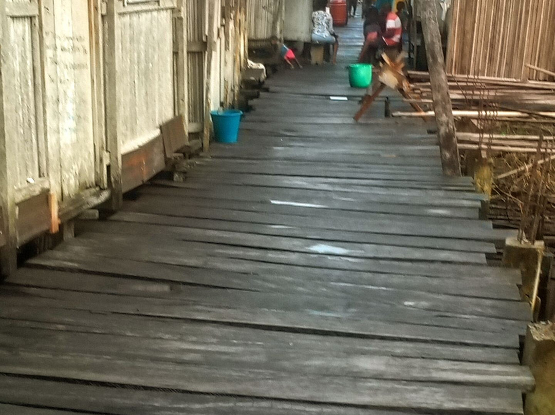 Nzulezo Stilt Village Tour景点图片