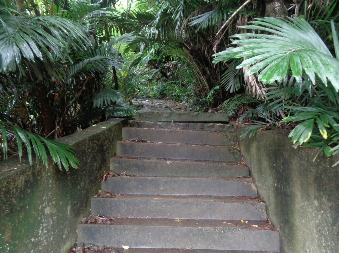 Mt. Shokensaki-小笠原村必去景点