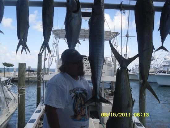 Reef Runner-伊斯拉摩拉达必去景点