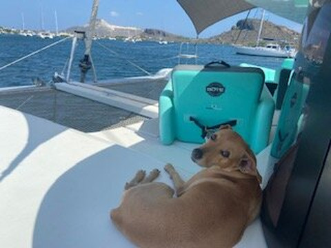 CruiseNautic-夏洛特阿马利亚必去景点