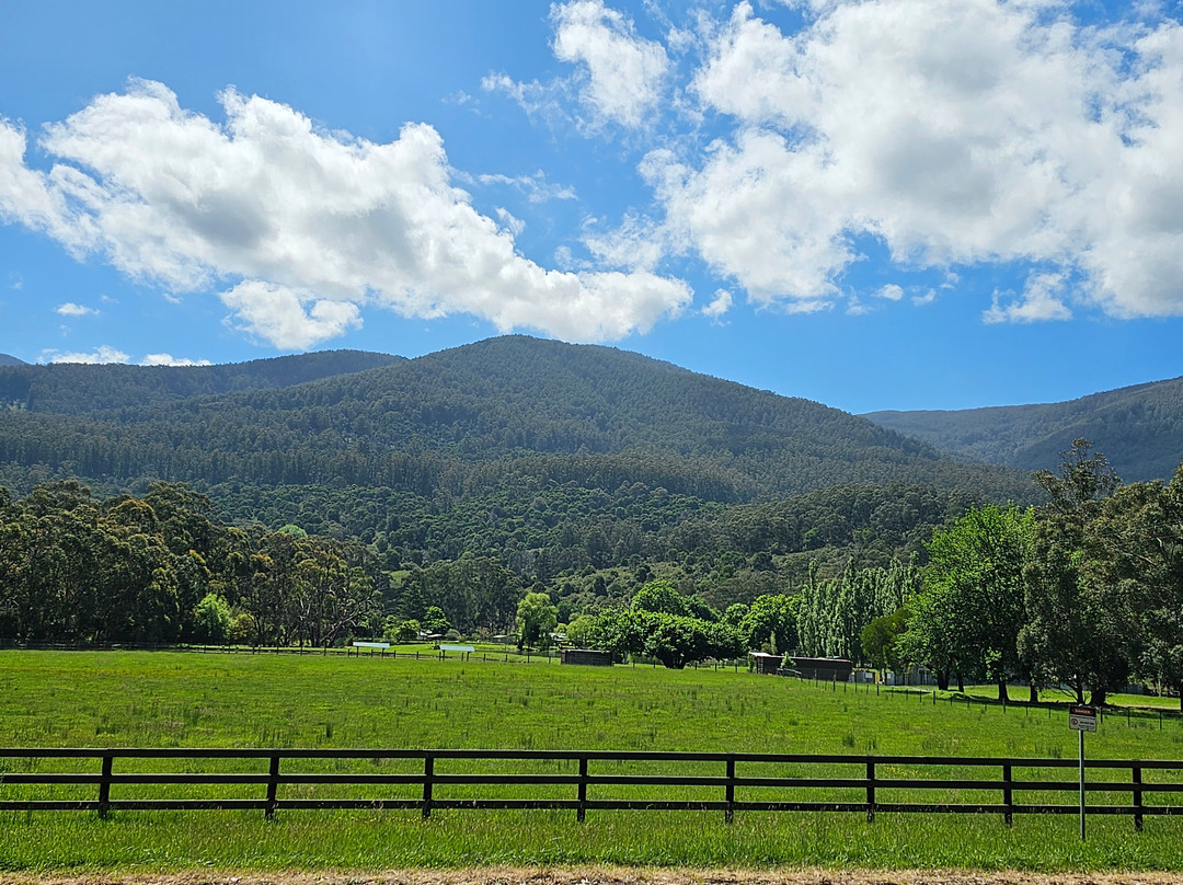 Lilydale to Warburton Rail Trail-Lilydale必去景点