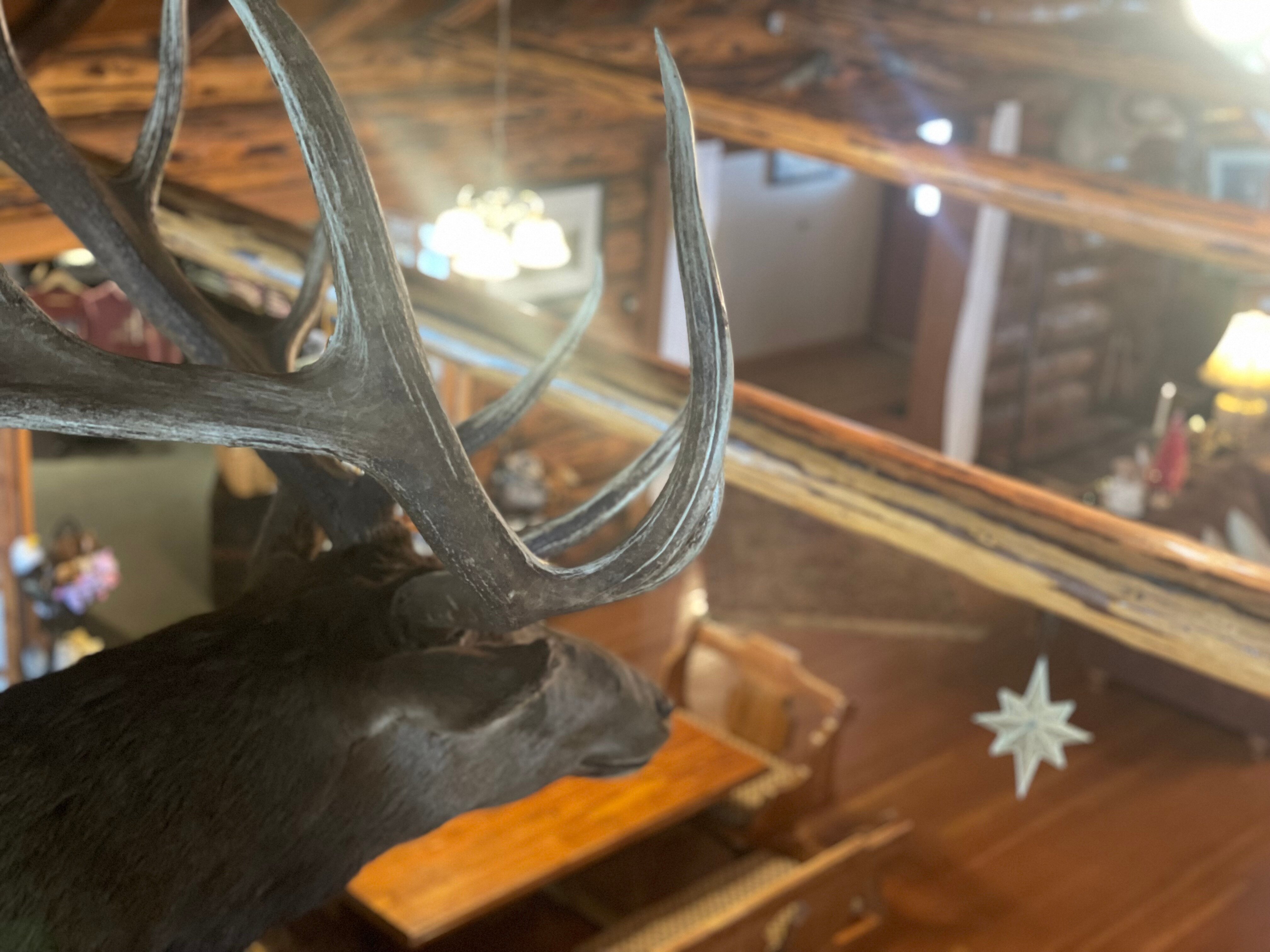 Double Arrow Resort-浴室