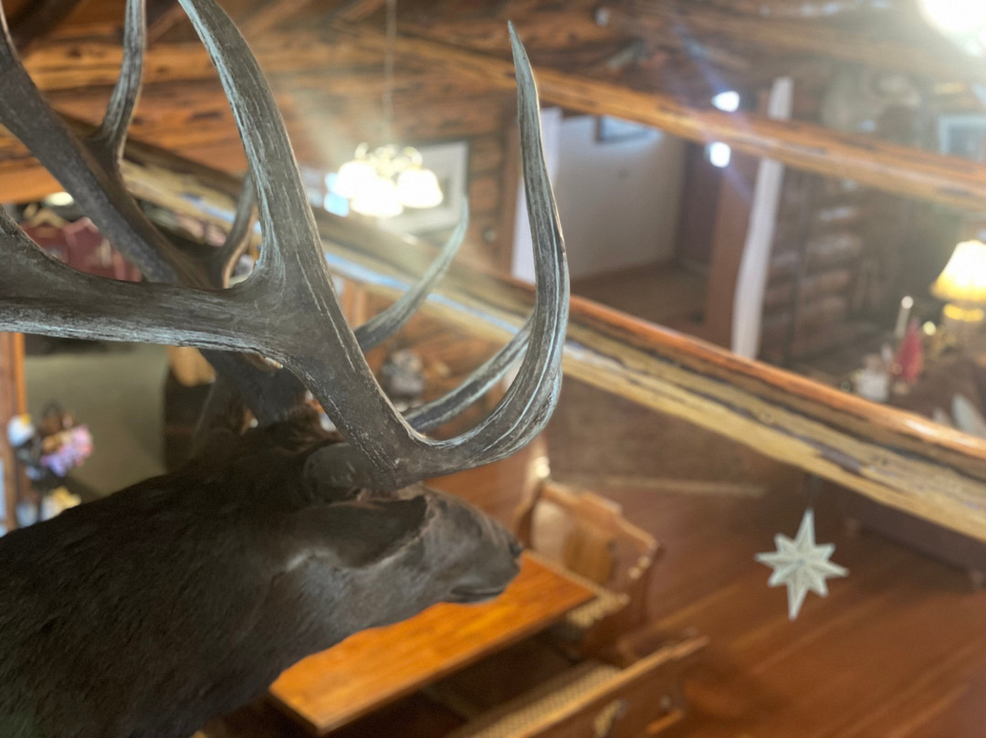 Double Arrow Resort主图