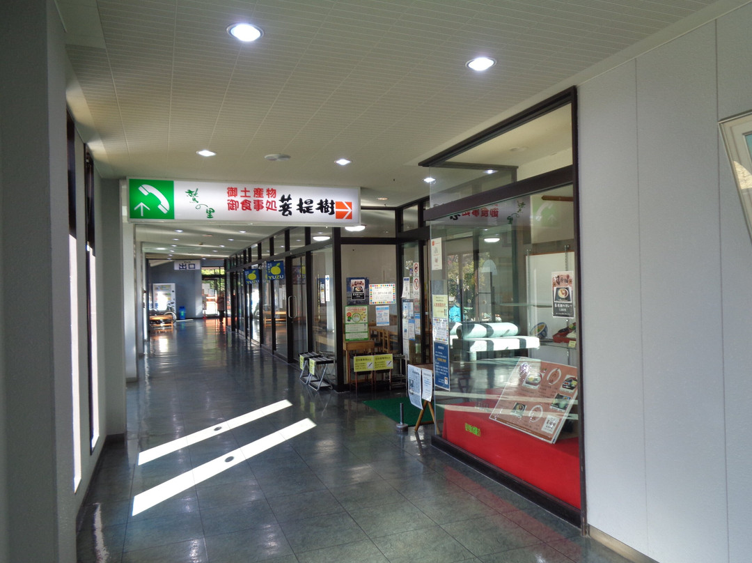 菩提樹