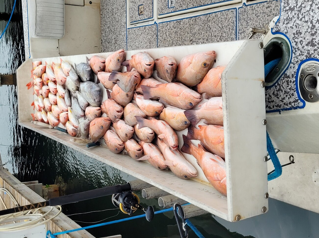 Paradise Fishing Charters-Cape Haze必去景点