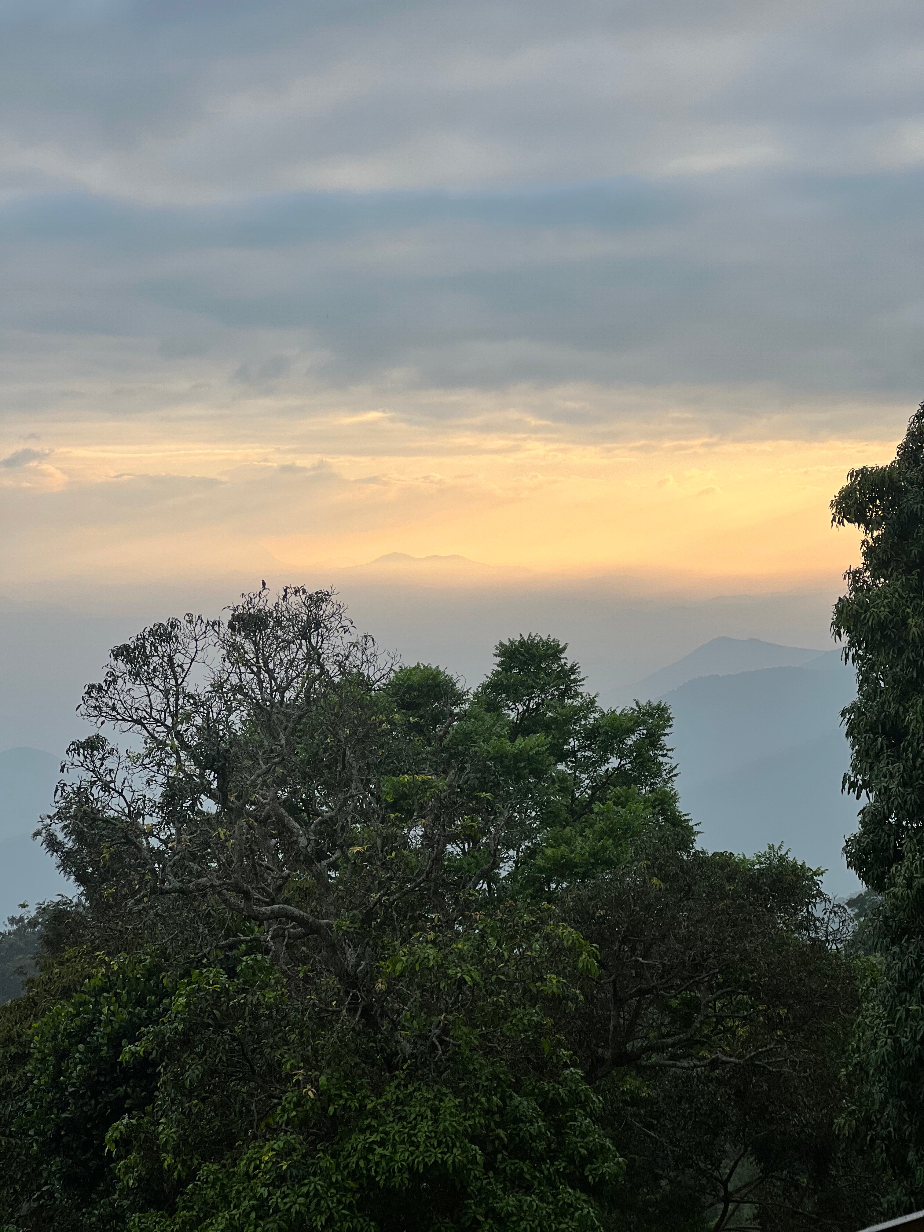 Oland Plantation Farm Stay-酒店景观