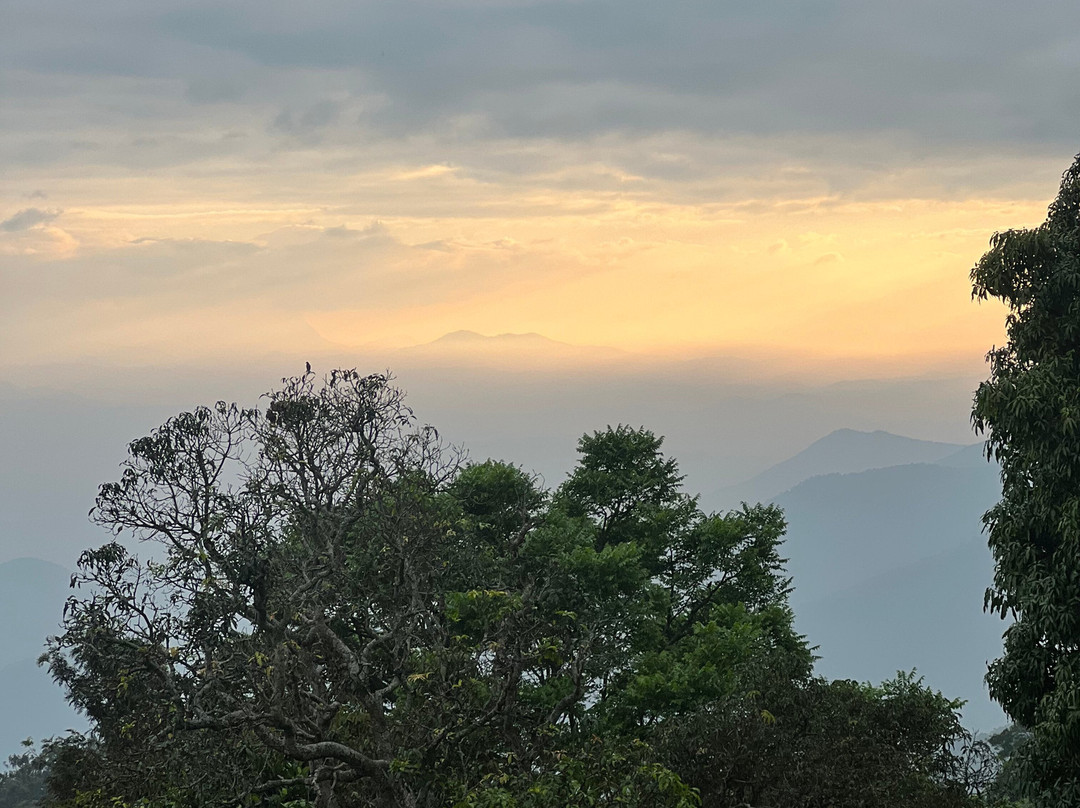 Oland Plantation Farm Stay主图