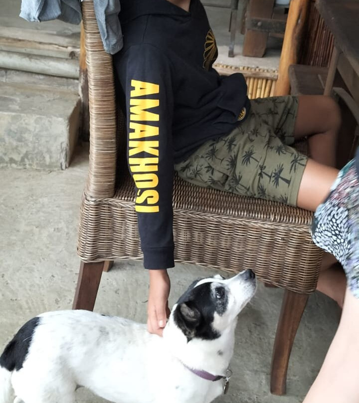 Amangwane Tented Camp主图