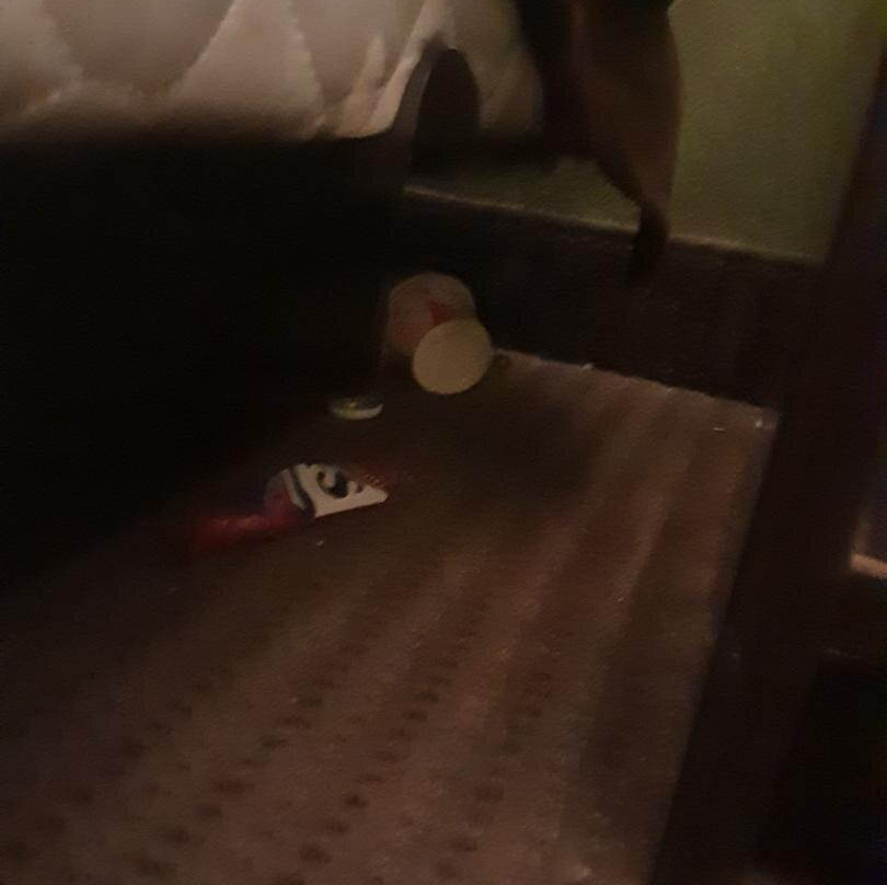 Sleep Inn & Suites Stony Creek - Petersburg South主图