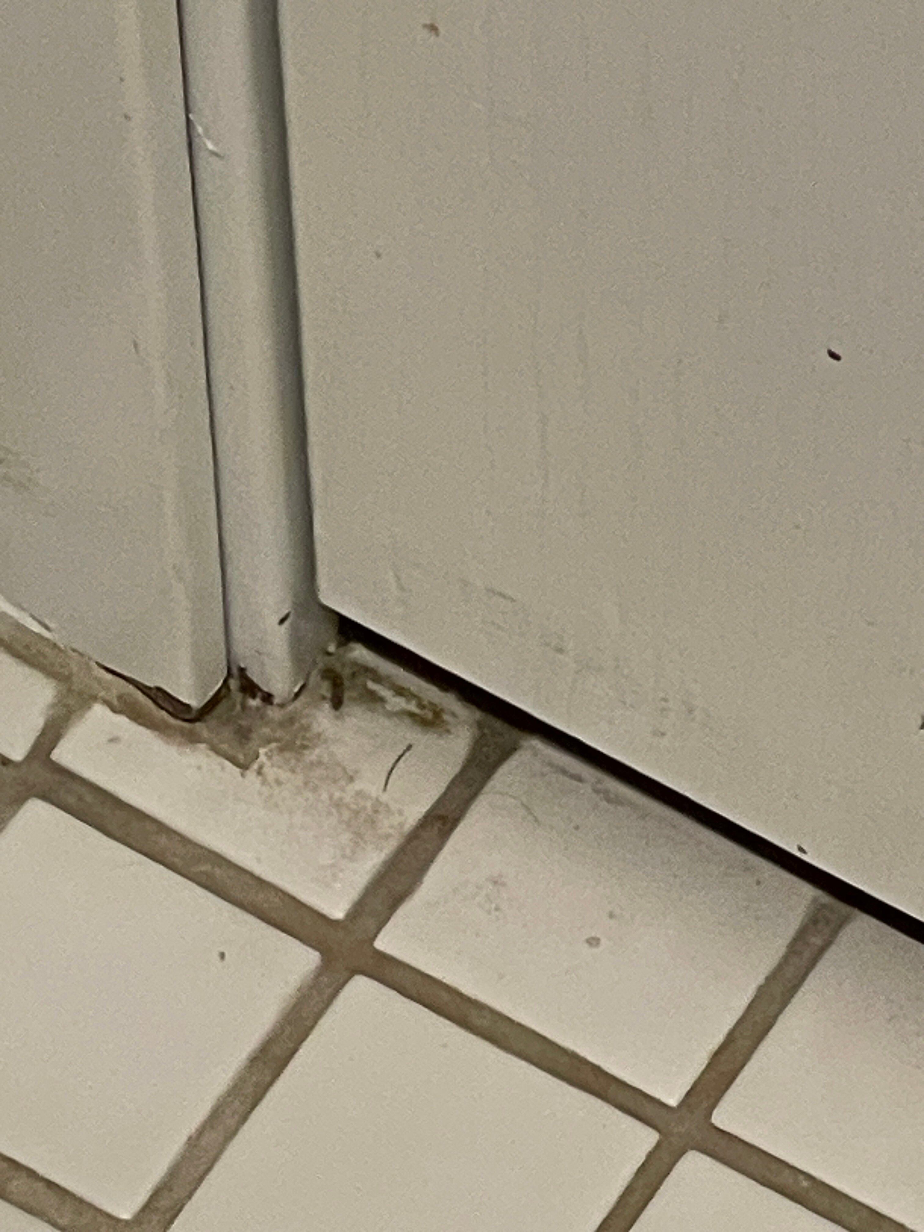 La Quinta Inn by Wyndham Toledo Perrysburg-浴室