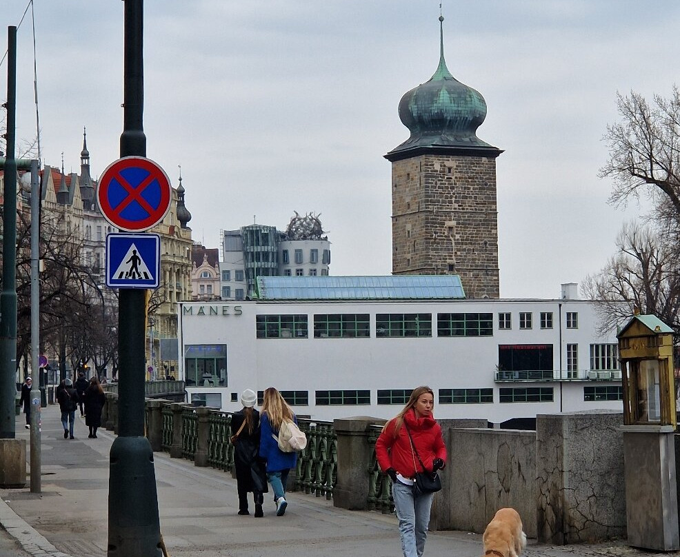 Šítkov Water Tower & Manes Gallery景点图片