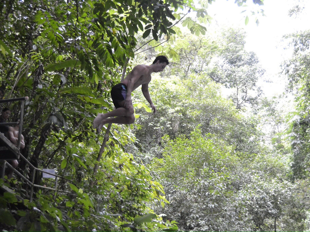 Uvita Paradise Adventures ( Zip Line)景点图片