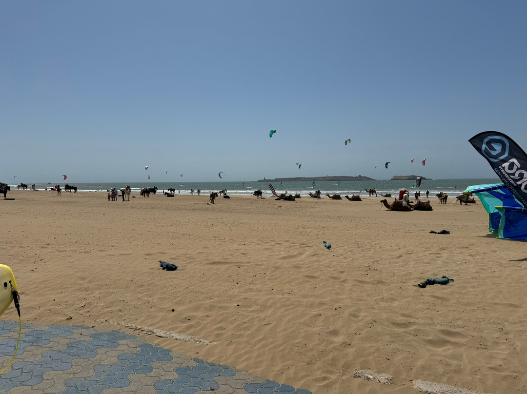 Blast Kiteboarding景点图片
