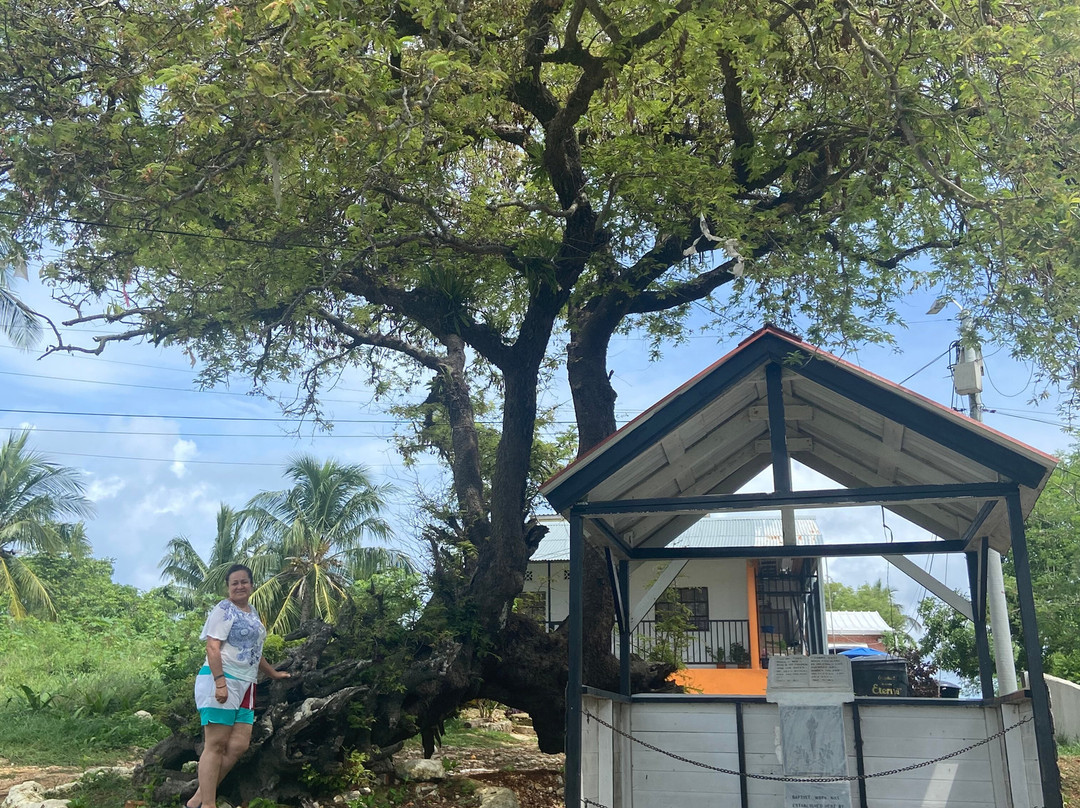 Primera Iglesia Bautista Hispana-圣安德烈斯必去景点