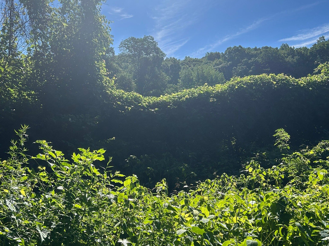 Van Cortlandt Park-布朗克斯必去景点