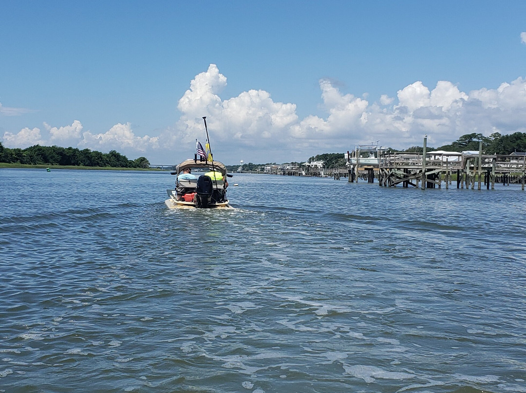 Carolinas Coastal Adventure Tours景点图片