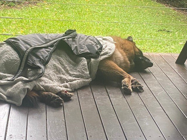 Chilverton Cottages & Day Spa主图