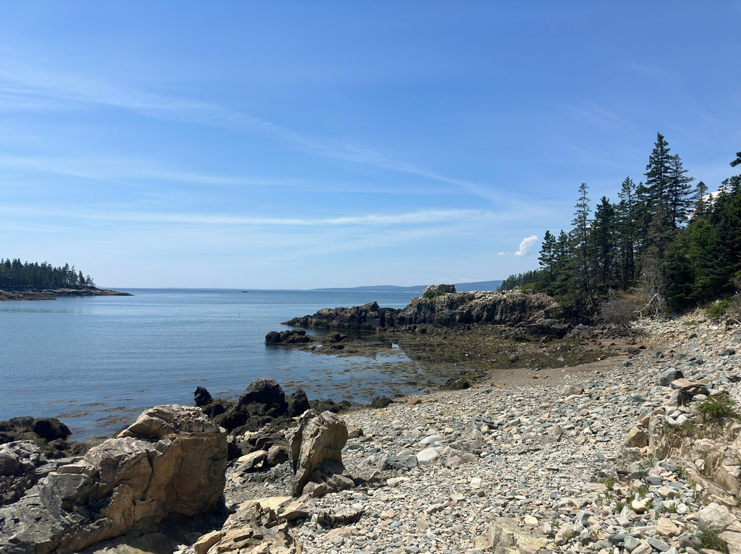 Schoodic Point景点图片