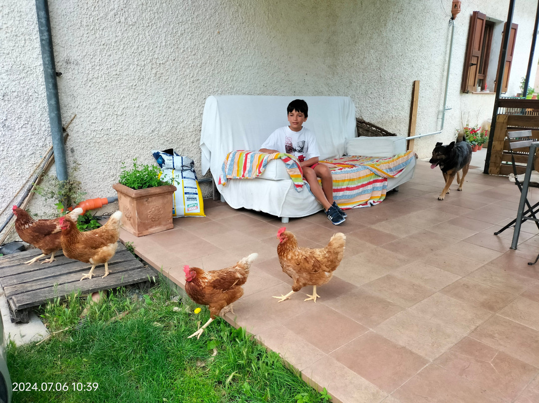B&B Da Dodo'