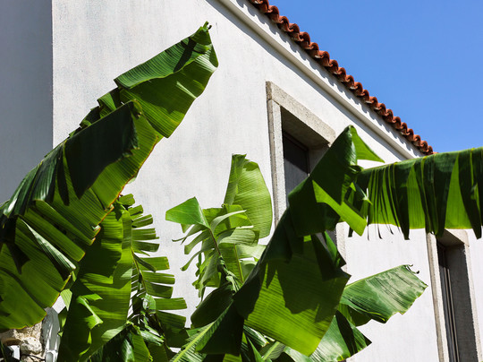 Voger Alaçatı Köyiçi