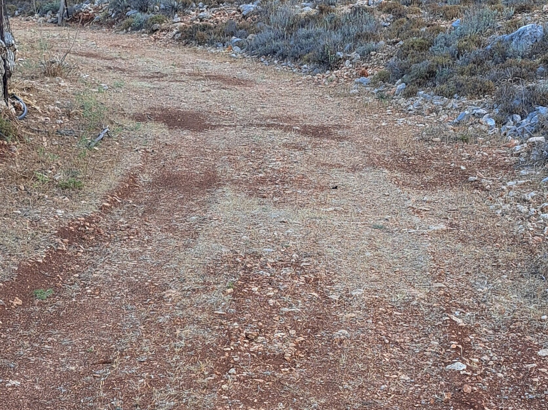 Goat Path-Halki必去景点