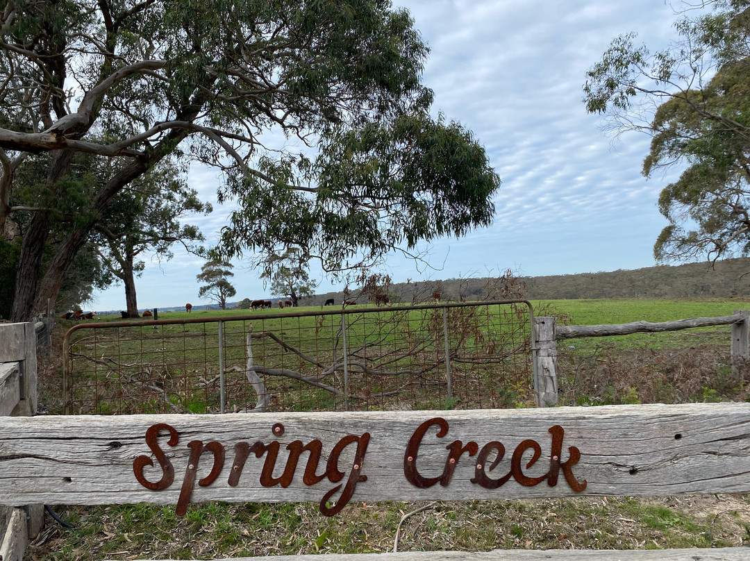 Spring Creek Horse Rides-贝尔布拉必去景点