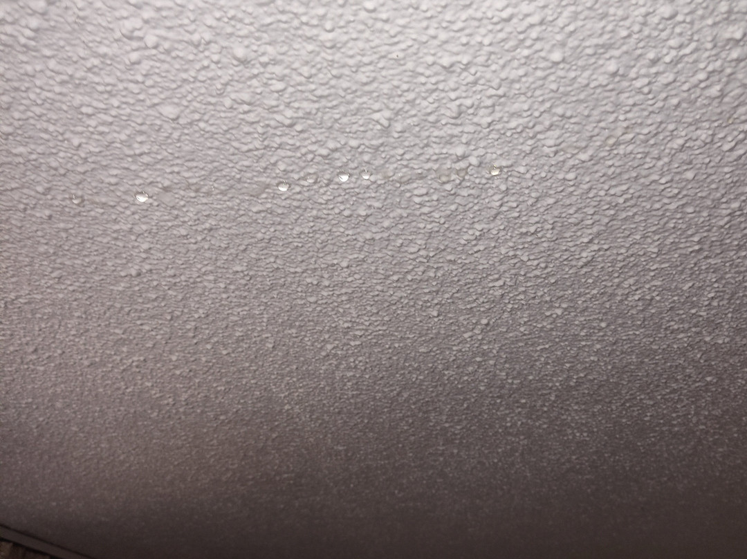 Quality Inn Blytheville I-55主图