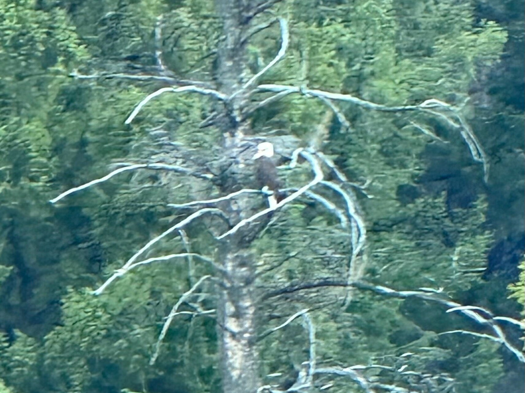 Tied To Nature-艾兰帕克必去景点